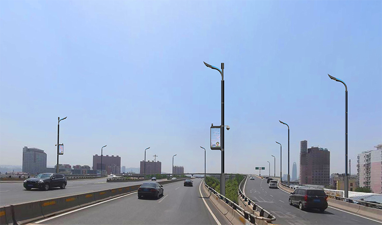LED Vertical Solar Street Pole With Solar Cylindrical 2FSG118-NEWLIGHT ENERGY