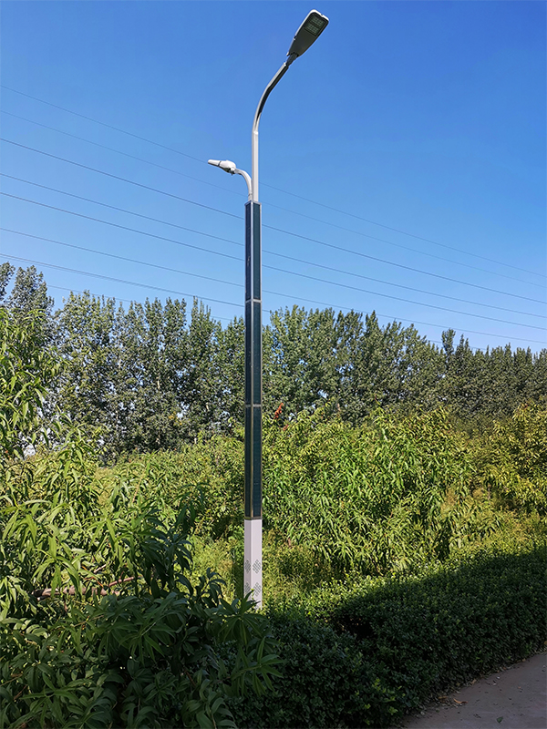 2FSG020 Solar Steet Light Dual Arm With Flexible Solar Panel Wrap On Pole-NEWLIGHT ENERGY