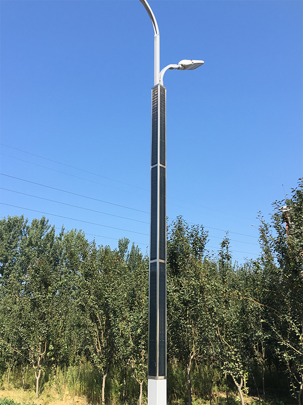2FSG020 Solar Steet Light Dual Arm With Flexible Solar Panel Wrap On Pole-NEWLIGHT ENERGY
