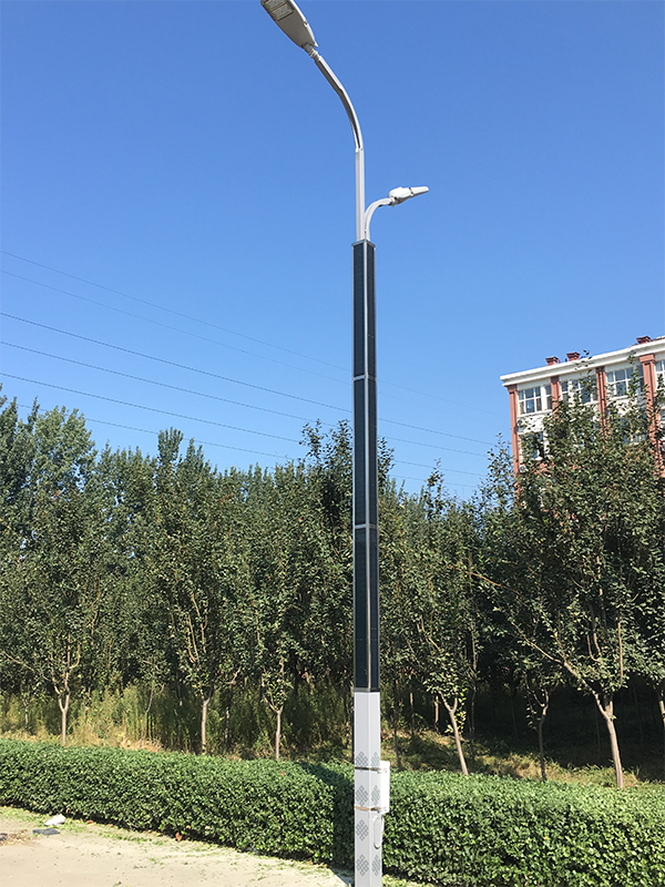 2FSG020 Solar Steet Light Dual Arm With Flexible Solar Panel Wrap On Pole-NEWLIGHT ENERGY