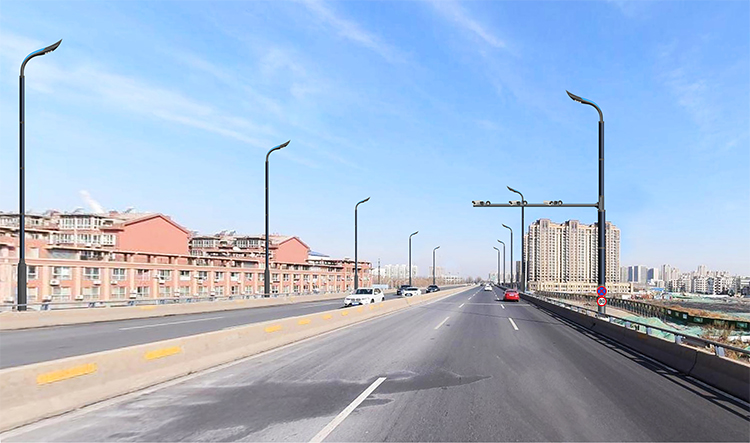 LED Vertical Solar Street Pole With Solar Cylindrical 2FSG118-NEWLIGHT ENERGY