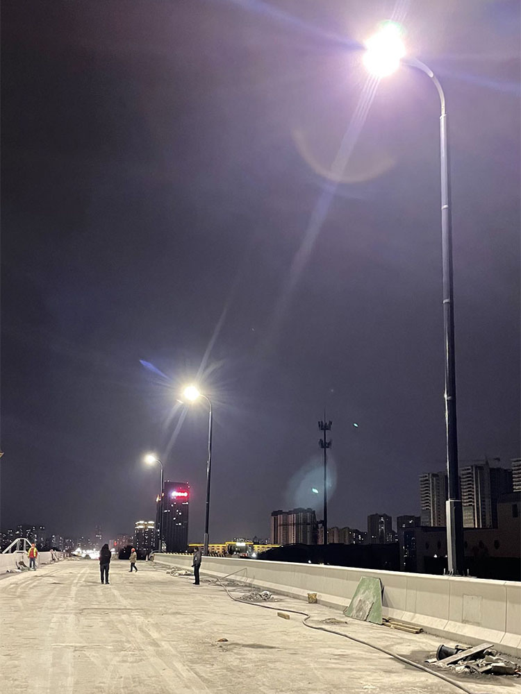LED Vertical Solar Street Pole With Solar Cylindrical 2FSG118-NEWLIGHT ENERGY