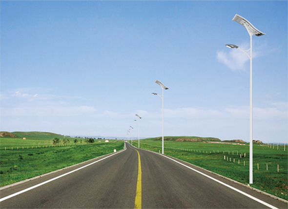 50W LED Wave Solar Street Light With Flexible Solar Panels-2FSG147-NEWLIGHT ENERGY