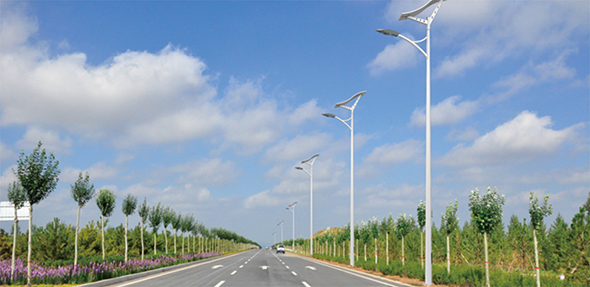 50W LED Wave Solar Street Light With Flexible Solar Panels-2FSG147-NEWLIGHT ENERGY