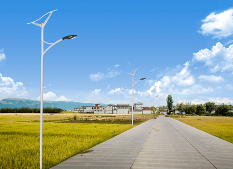 100W LED Wave Solar Street Light With Flexible Solar Panels-2FSG149-NEWLIGHT ENERGY 100W LED Wave Solar Street Light With Flexible Solar Panels-2FSG149-NEWLIGHT ENERGY