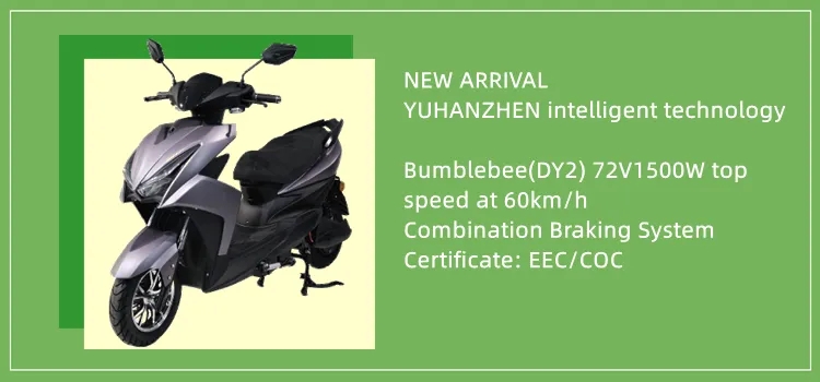 EEC Certified 3000W Electric Scooter with Pedal Assist and Storage Box