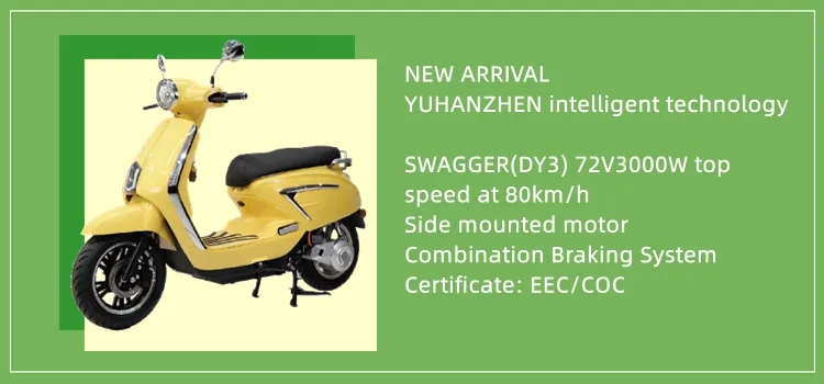 EEC Certified 3000W Electric Scooter with Pedal Assist and Storage Box