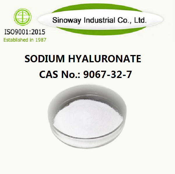 Hialuronato de sódio 9067-32-7.