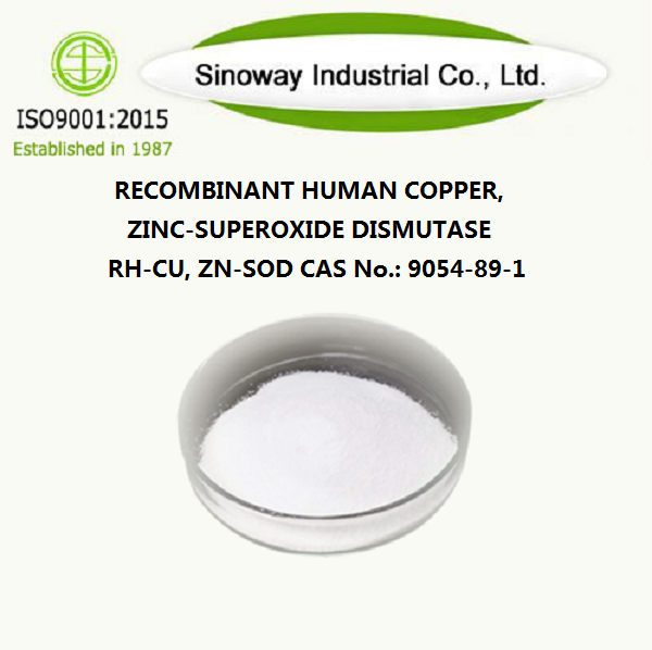 Cobre humano recombinante, zinco-superóxido dismutase RH-CU, Zn-SOD 9054-89-1