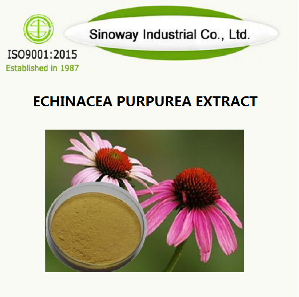 Echinacea purpurea extract.