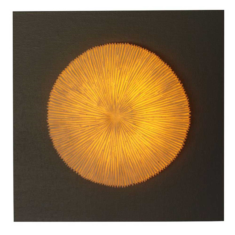 Arte da parede coral com nervuras MDF de madeira com luz LED