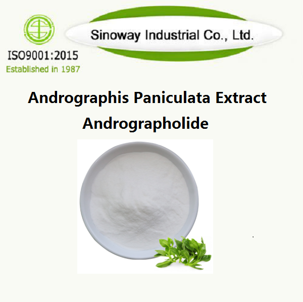 Extrato de Andrographis Paniculata / Andrographolide