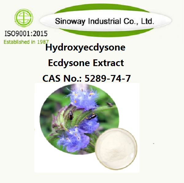 Hidroxiecdisona ； Extrato de ecdisona β-ecdisona 5289-74-7