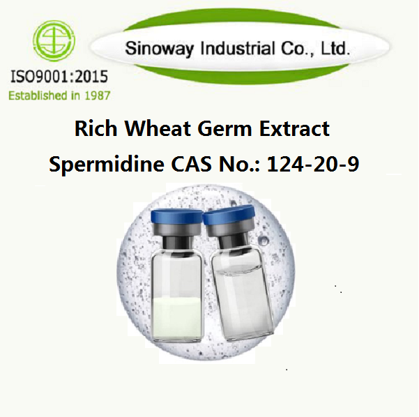 Extrato de gérmen de trigo rico em espermidina / Espermidina 124-20-9