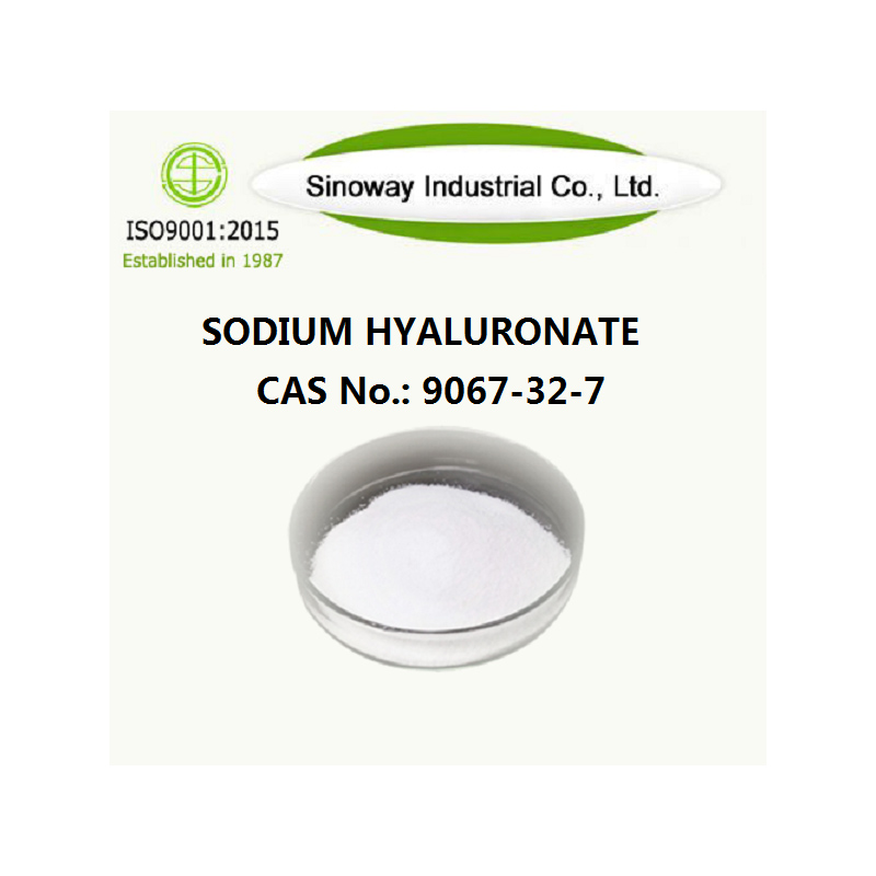 Hialuronato de sódio 9067-32-7.